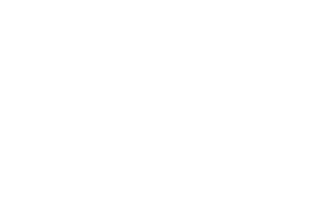 Logo-whiteAF